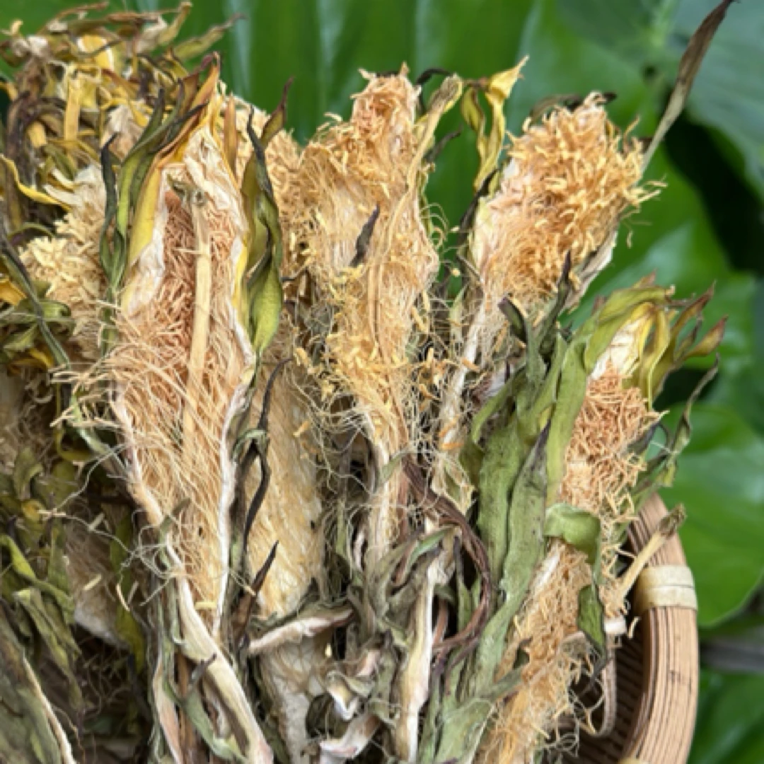 霸王花干货 自然采摘 煲汤好材料