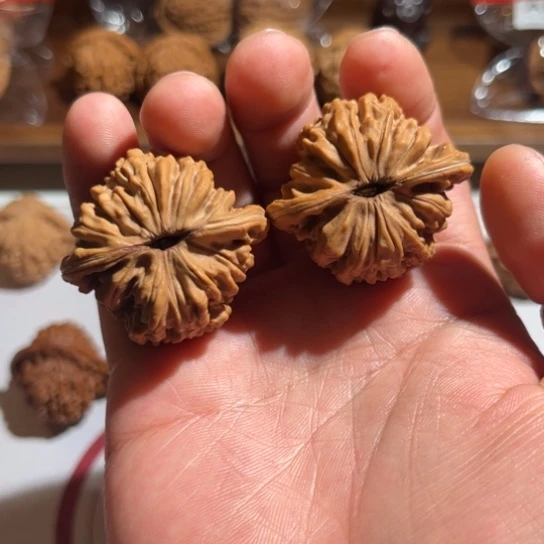 小**志正杨系列-正杨楼