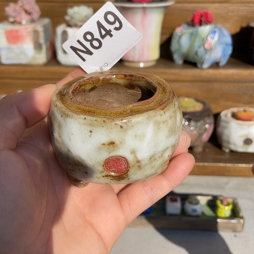 坛子姐多肉花盆内口4.3