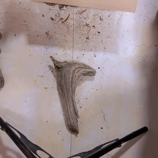 柏木J****邦陈化到位坨坨疙瘩