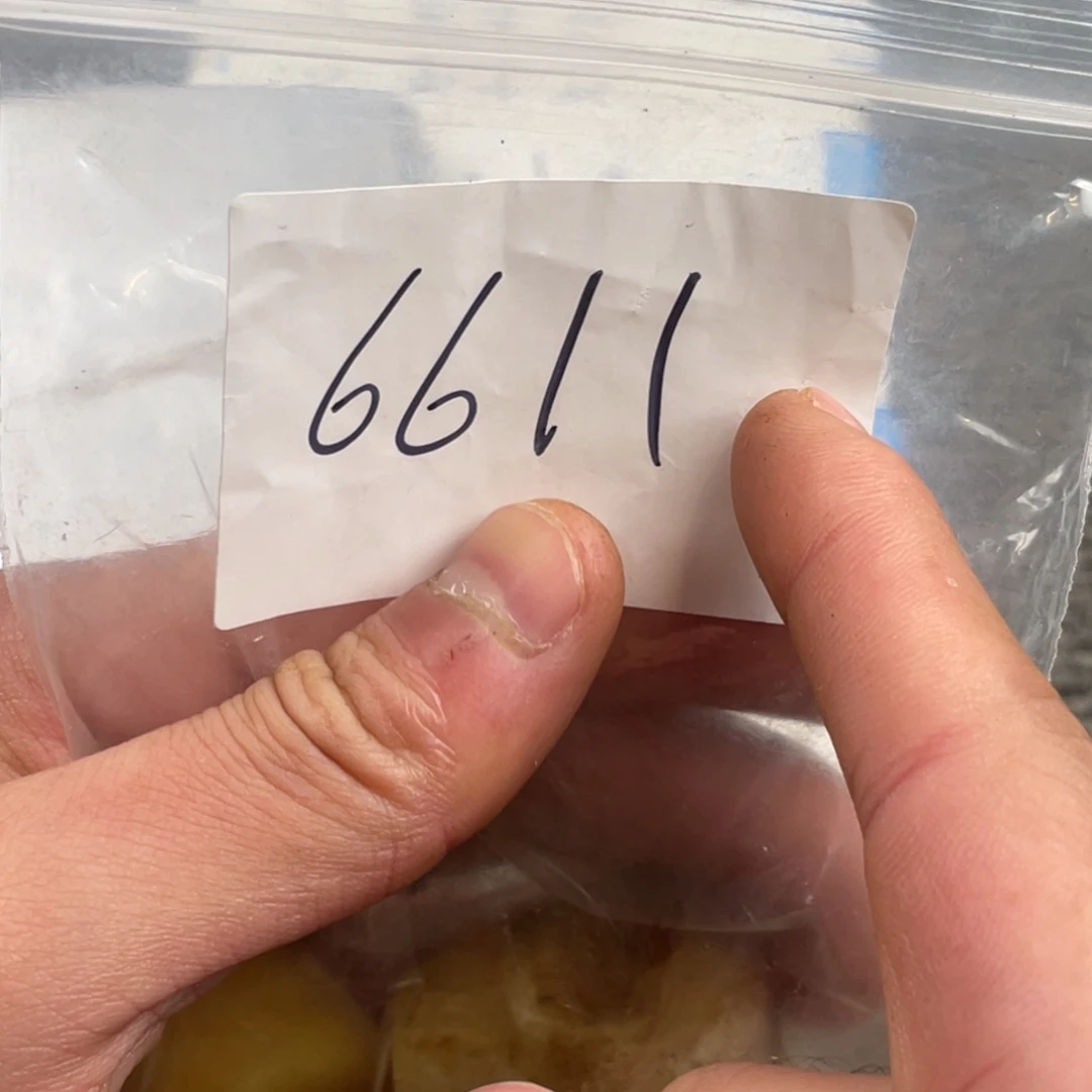 南***阁木质非金属一一一一6611