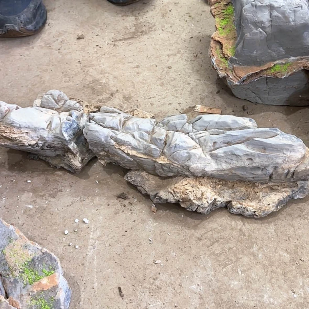 【闪购商品】香榧木马*道不咯就不要把