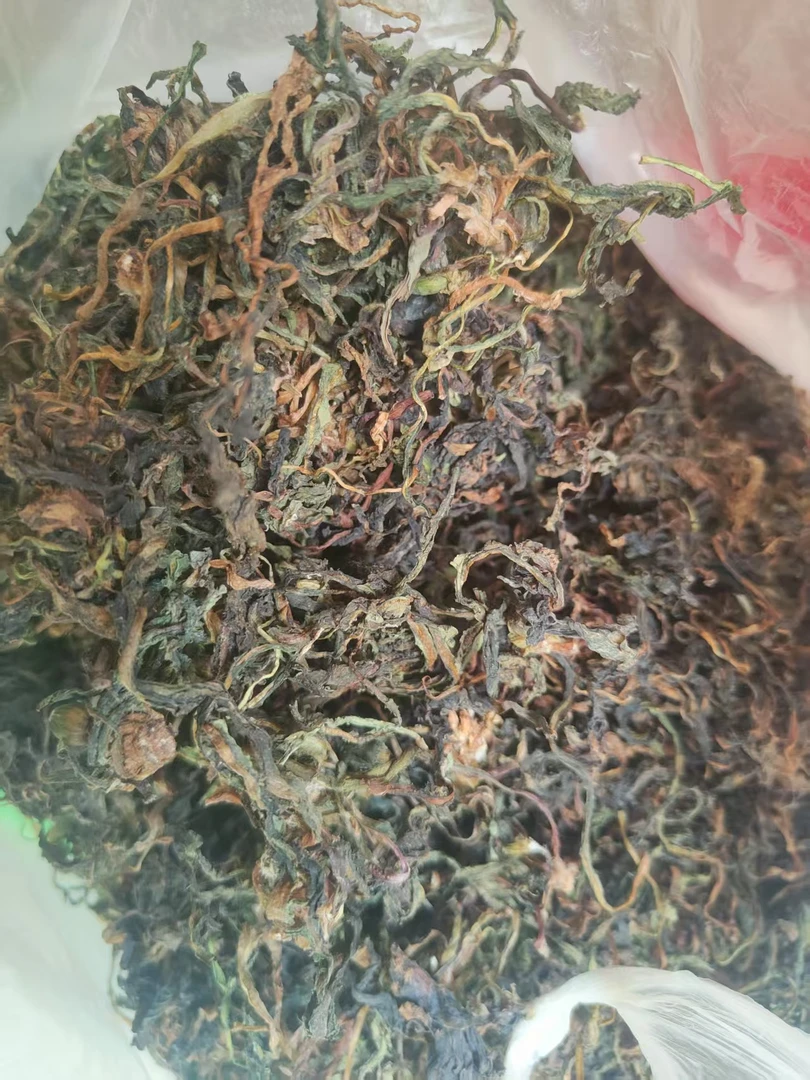 跑山阿红农家【干蒲公英】