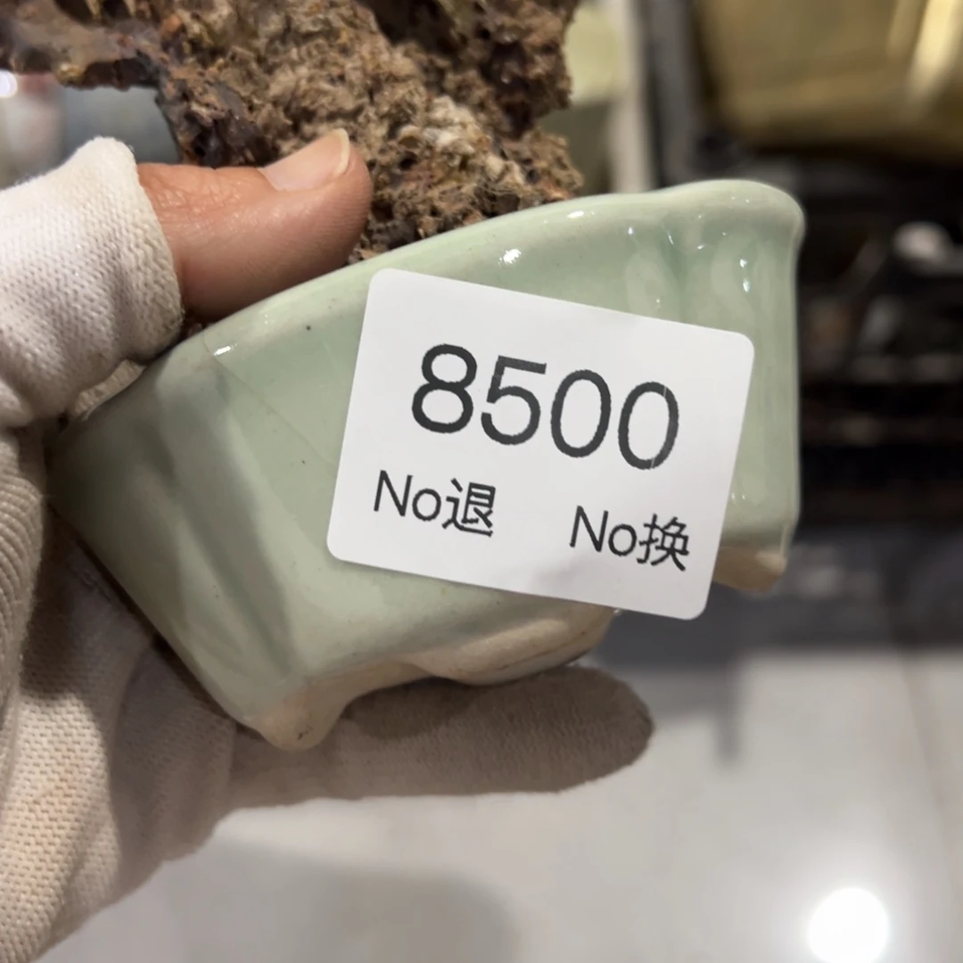 当***！双55667788202509168500