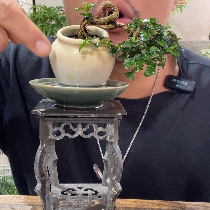 以实际为准退款拉黑拉黑 19