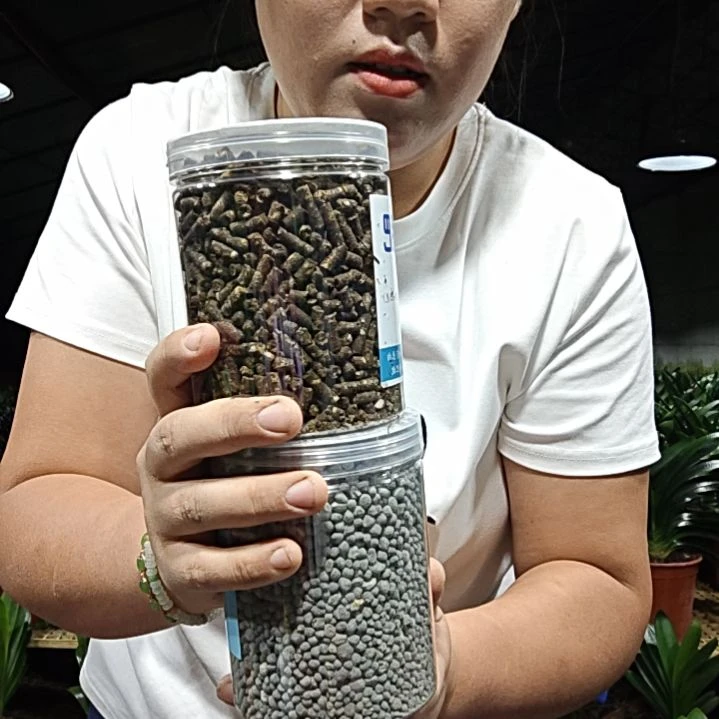 用***0无花朵两固两     矿     35