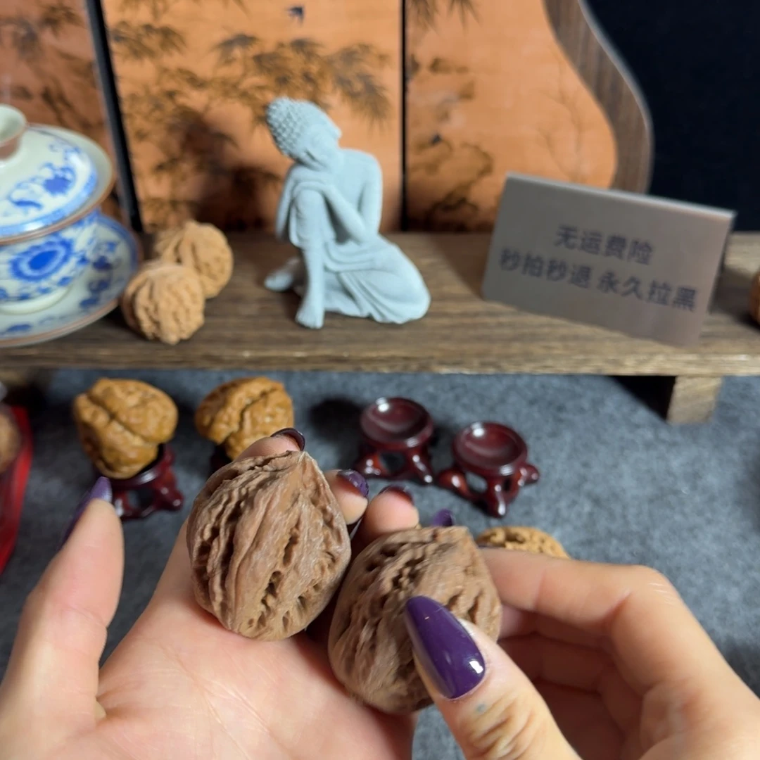 全品40霸王龙克重56