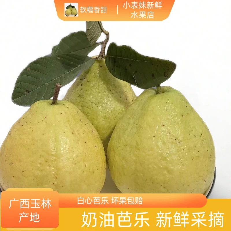 正宗广西白心番石榴奶油芭乐农家种植产地直发现摘水果坏果包赔