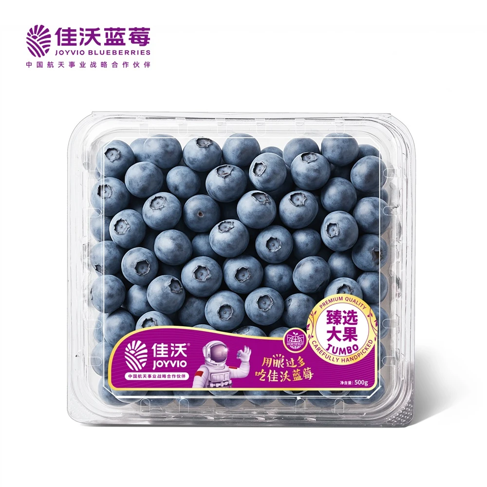 蓝莓 500g