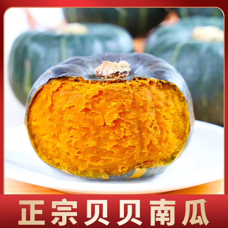 贝贝南瓜4.5斤板栗味小南瓜粉糯香甜现摘时令蔬菜辅食代餐