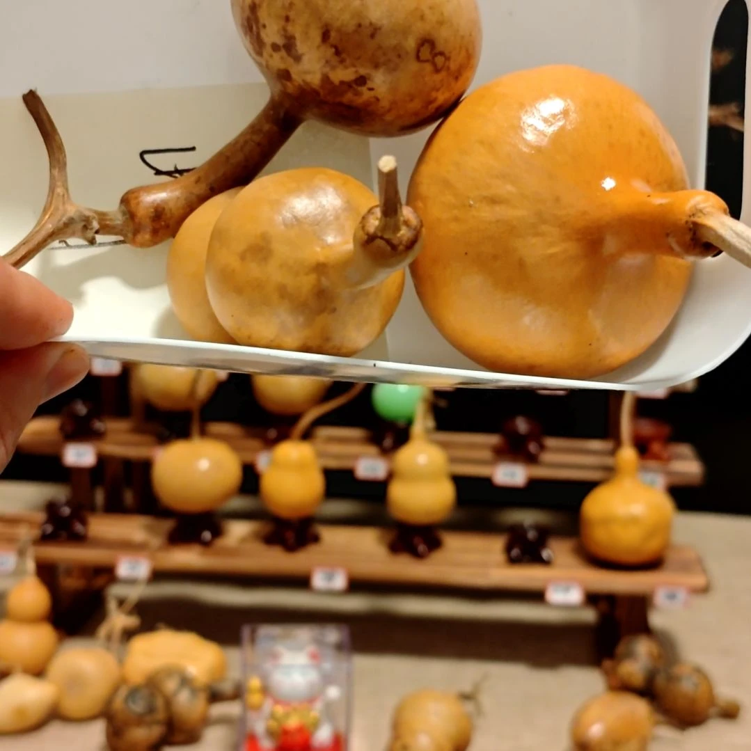 山***峰直播间专拍葫芦葫芦