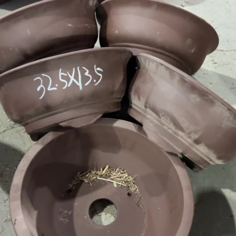 100-5。        32.5-13.5