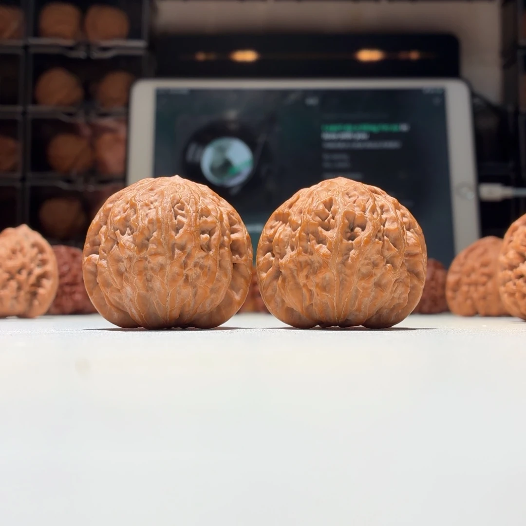 文玩核桃把件铁锤41