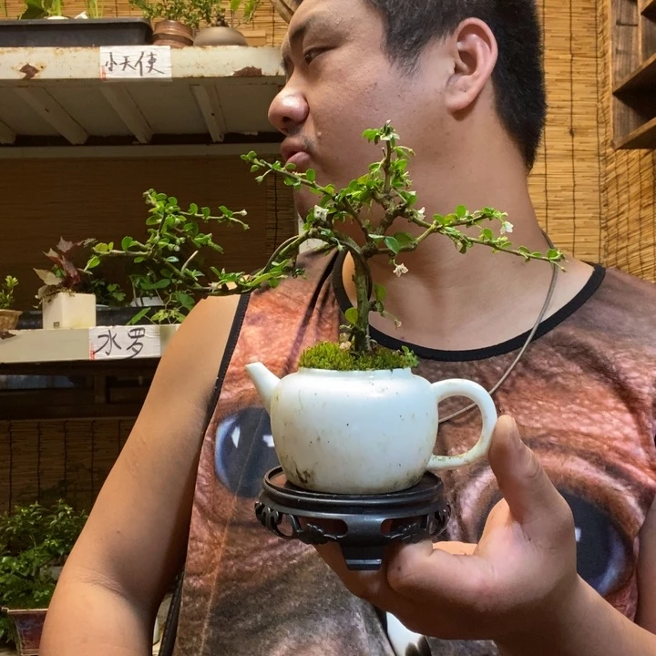 M**y一物一拍所见即所得444