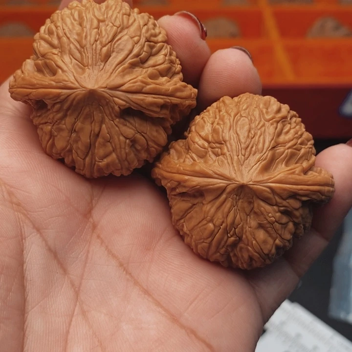 核桃泥鳅背42尺核桃