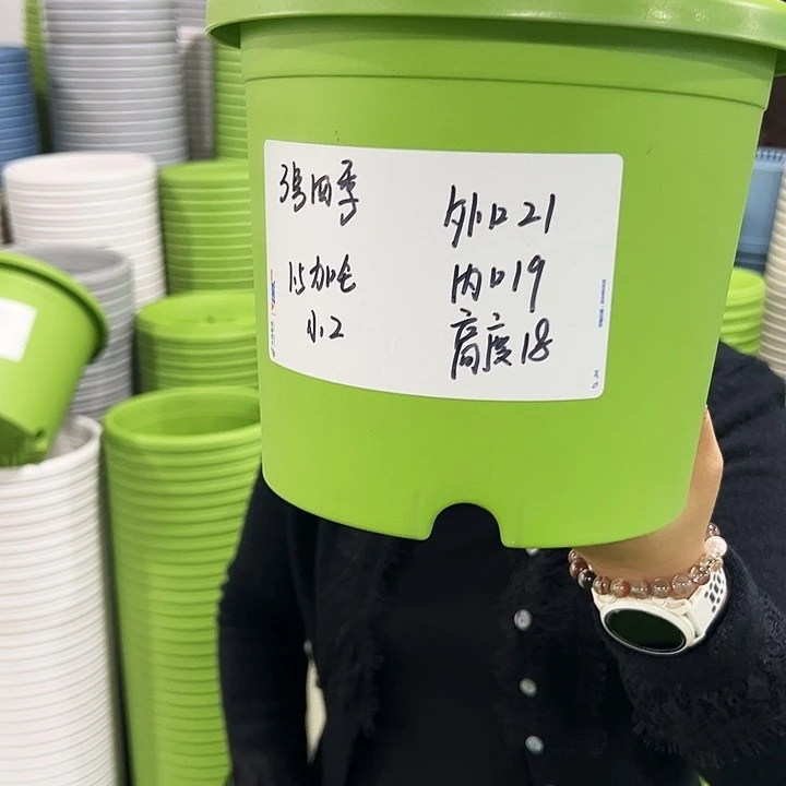 特价3号四季口21高18果绿无托10只