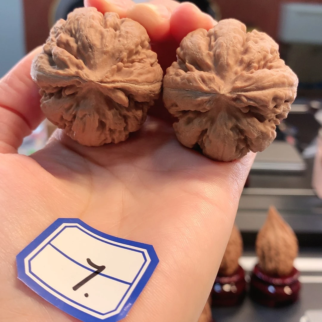 【闪购商品】吊坠文玩核桃霸王龙 39尺