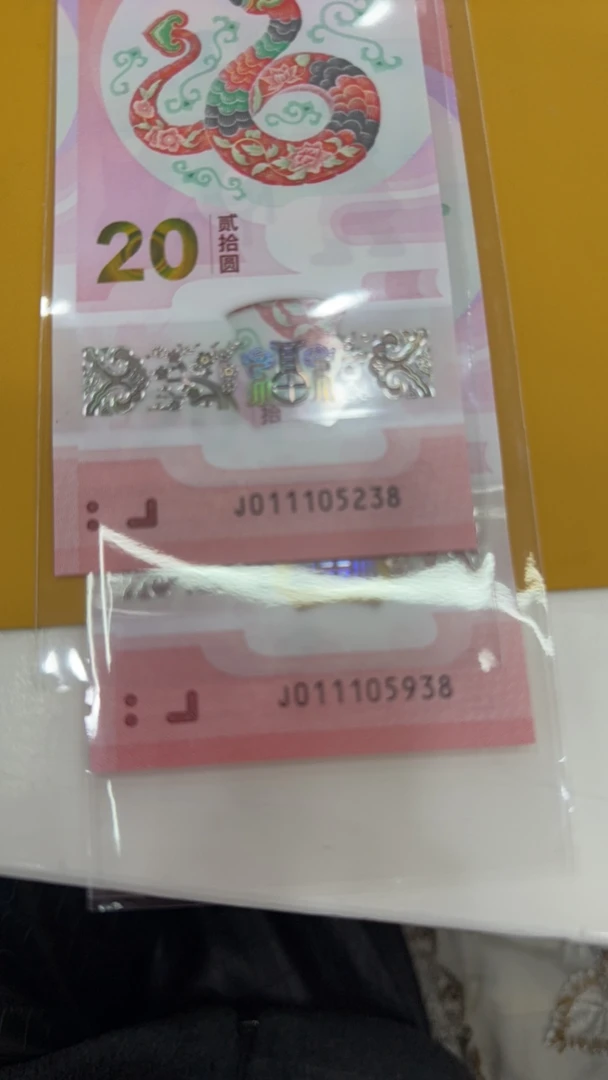 蛇年纪念钞011105238、011105938