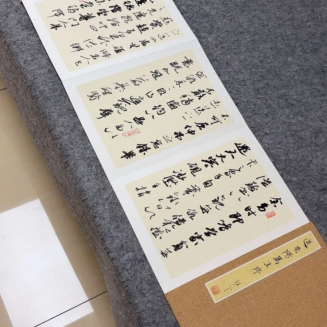 书法国展书家麻春芳350×35