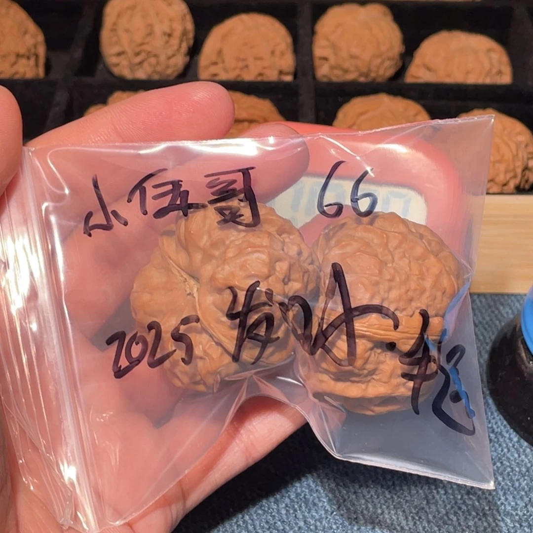 文玩核桃把件小*ړ59999999 999