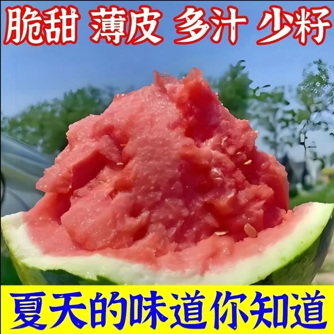 产地直发西瓜麒麟西瓜皮薄现摘西瓜新鲜孕妇水果