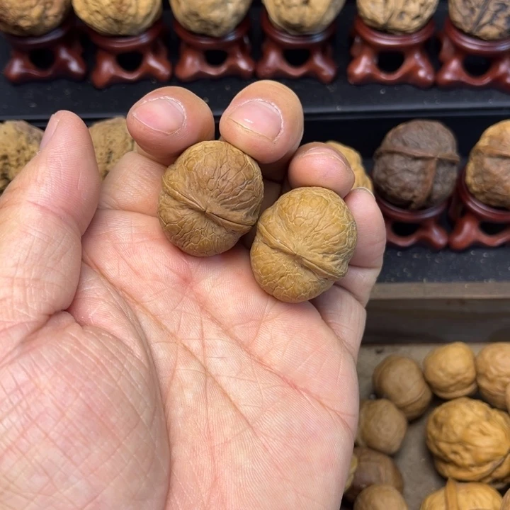 核桃铁核桃七彩椰子蛋5