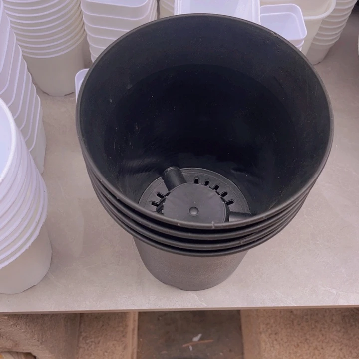 黑万象口16高18一组3个