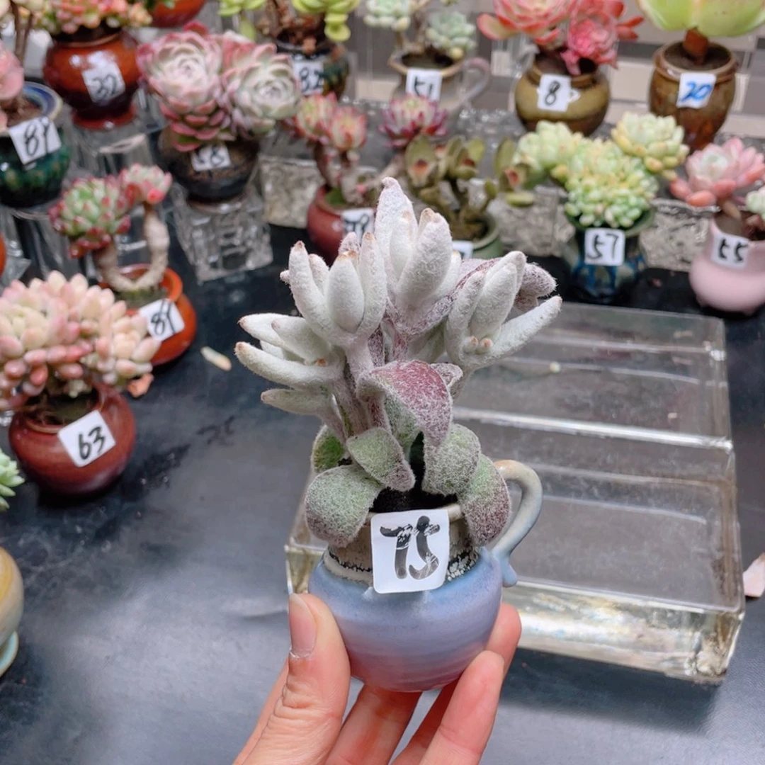 无铅玻璃青*花器花器花器花器