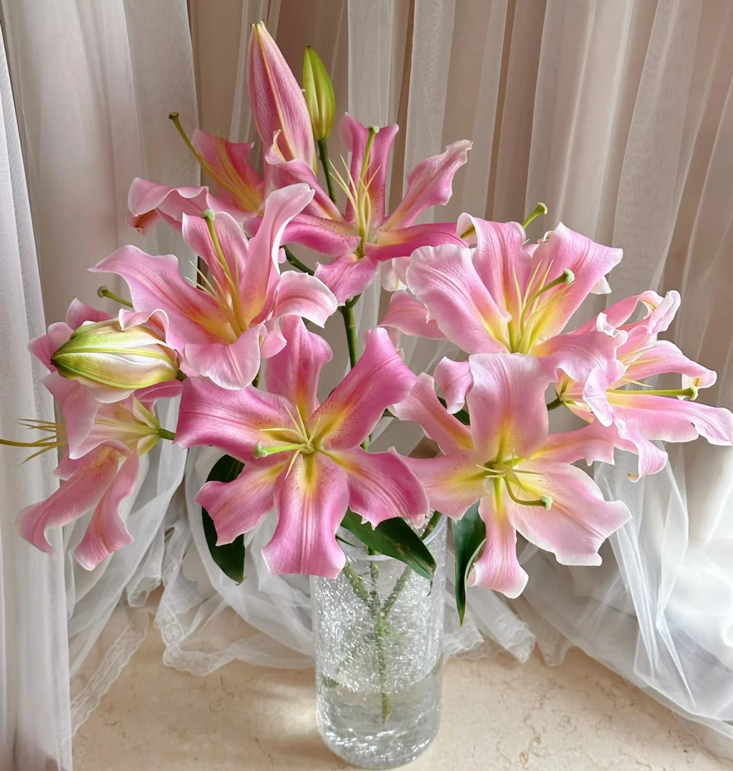 【粉钻AK】粉色香水百合 |满两单鲜花包邮