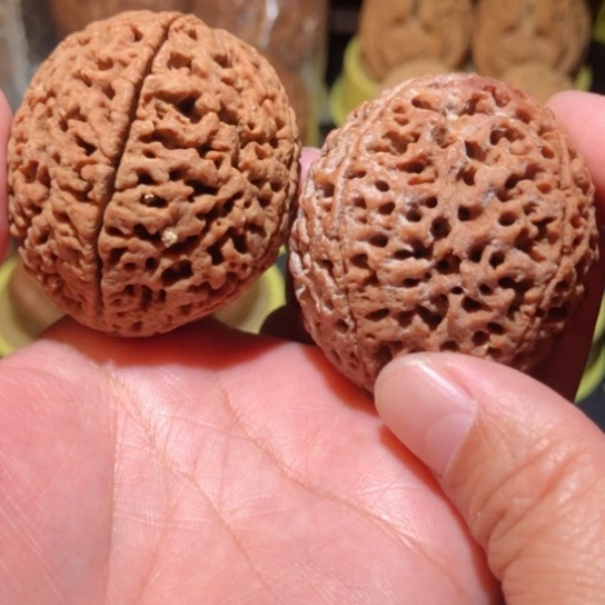 文玩核桃把件枫*五瓣金刚菩提