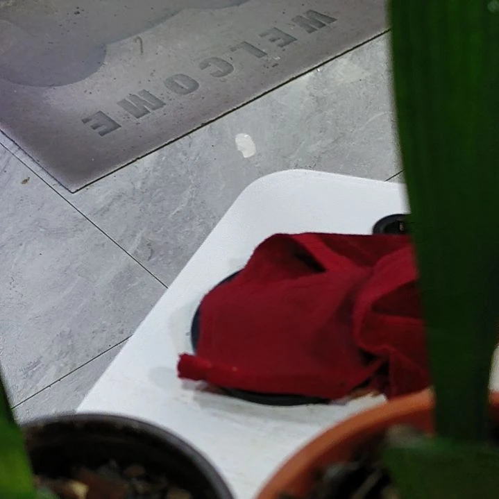 无花朵拖摸摸摸摸