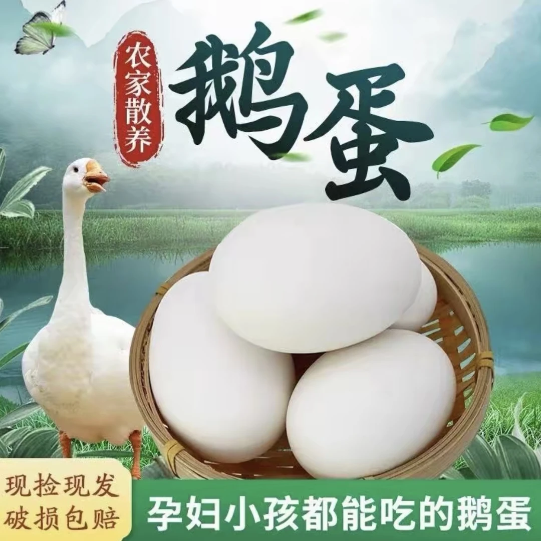新鲜农家散养土鹅蛋破损包赔