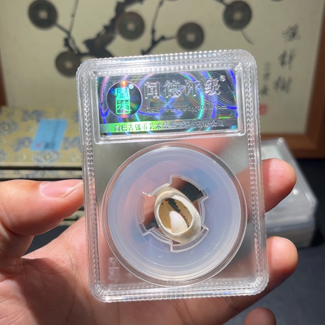 铜贝币古珍福利7777777777