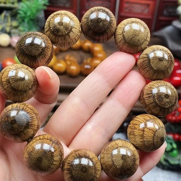 飞***线手串/手链藤类买麻藤