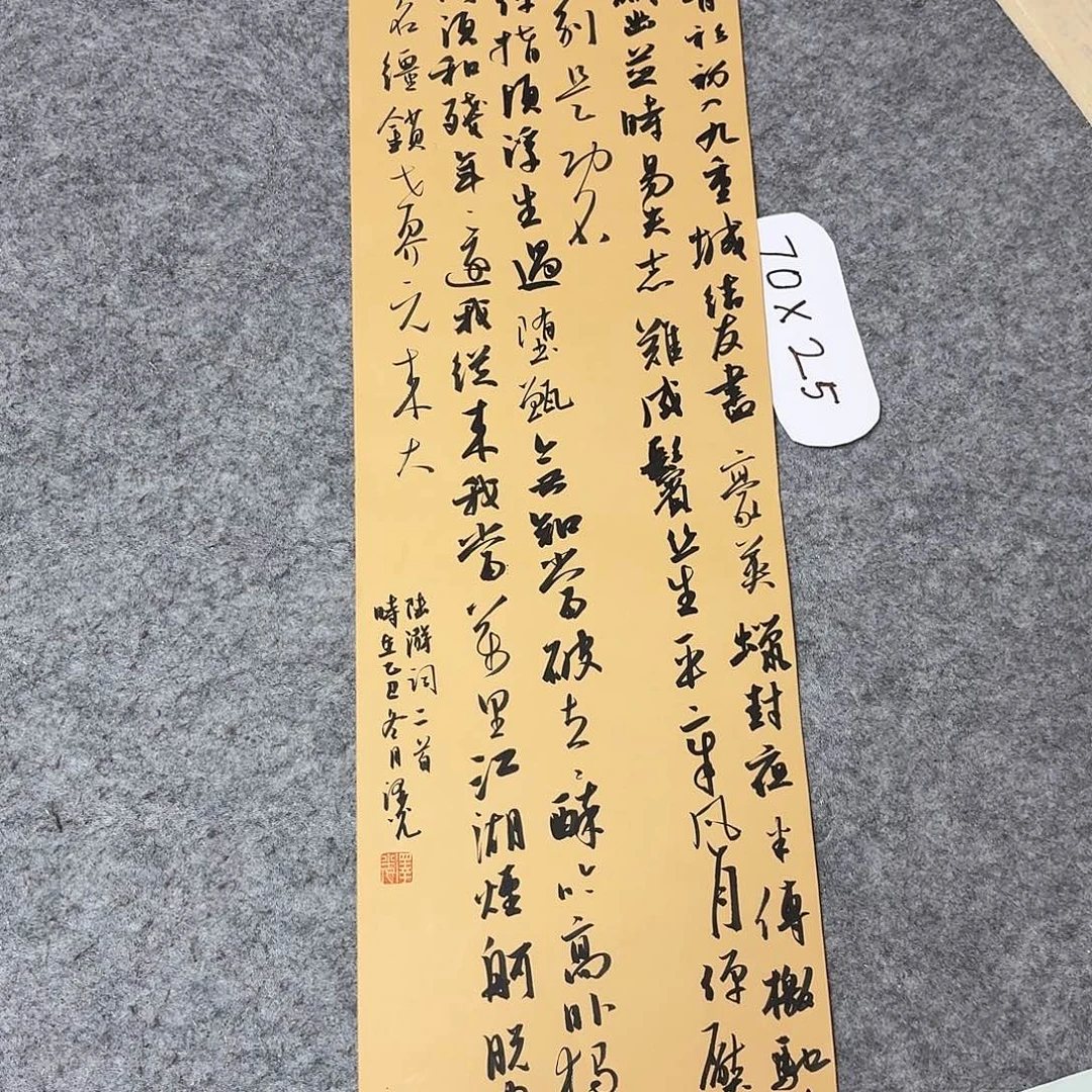 书法国展书家廖老师70×25