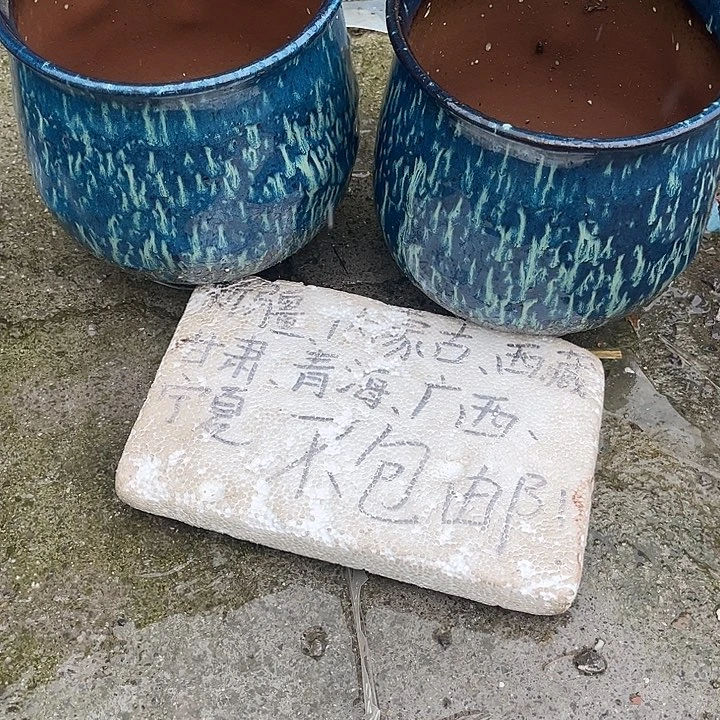 泥塑自产自销模式