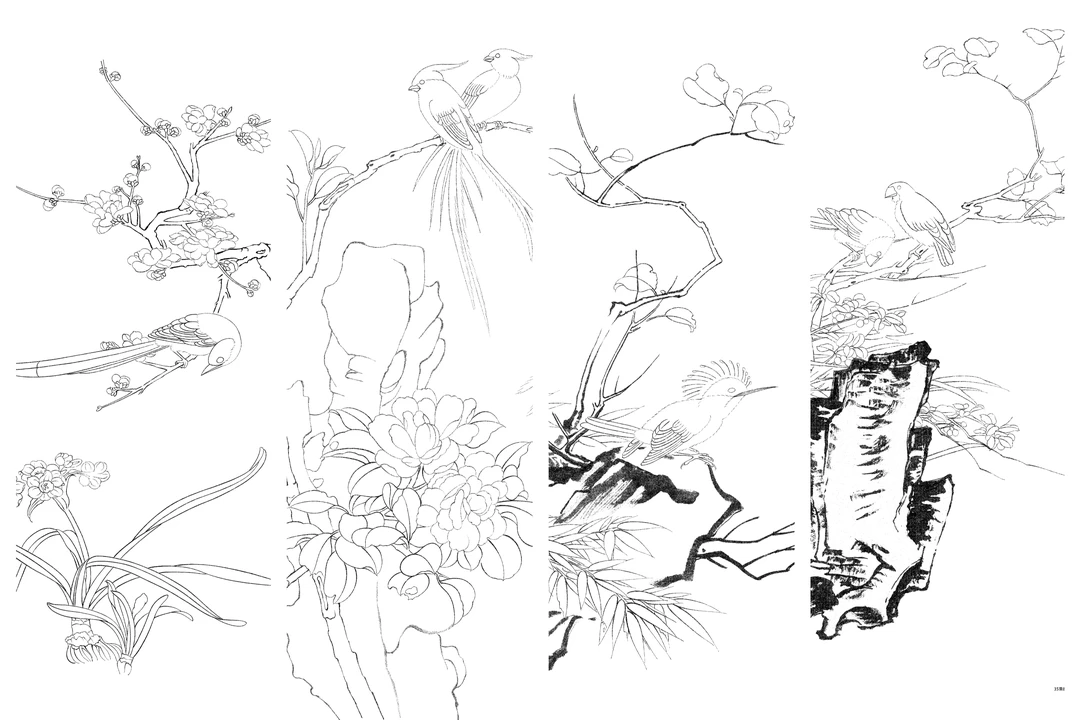 国画 工笔画打印白描底稿（没有色稿）