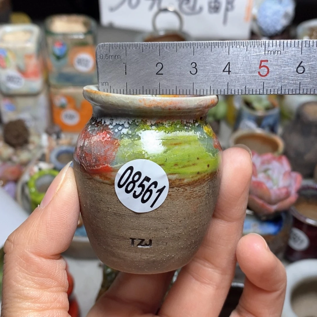 花盆拍5送一个小礼物