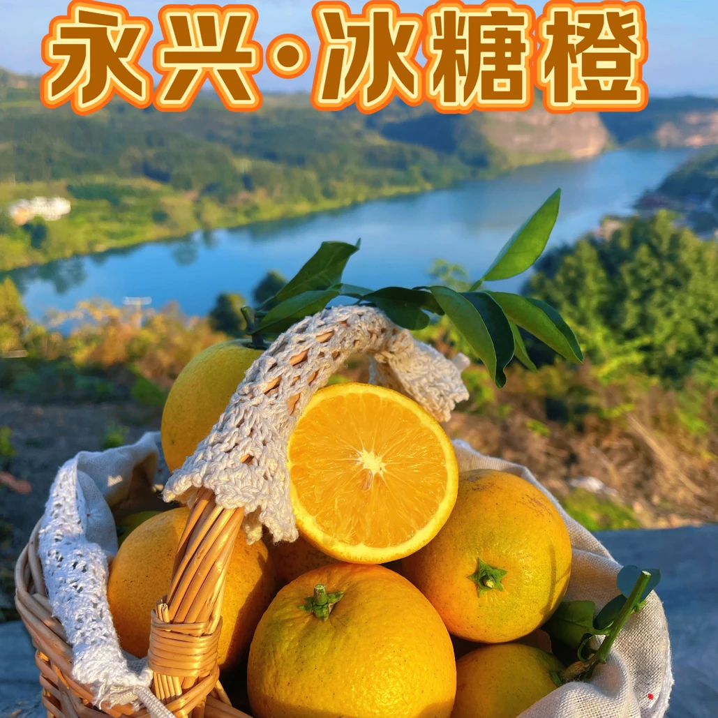 【顺丰快递】正宗永兴冰糖橙 皮薄汁多 纯甜无酸 果园现摘直发 整箱