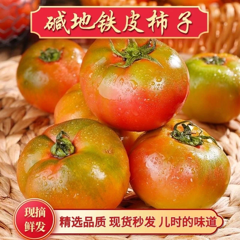 【破价】小时候的味道丹东铁皮柿子生吃水果番茄草莓铁皮西红柿草莓番茄辽宁省辽宁省丹东市