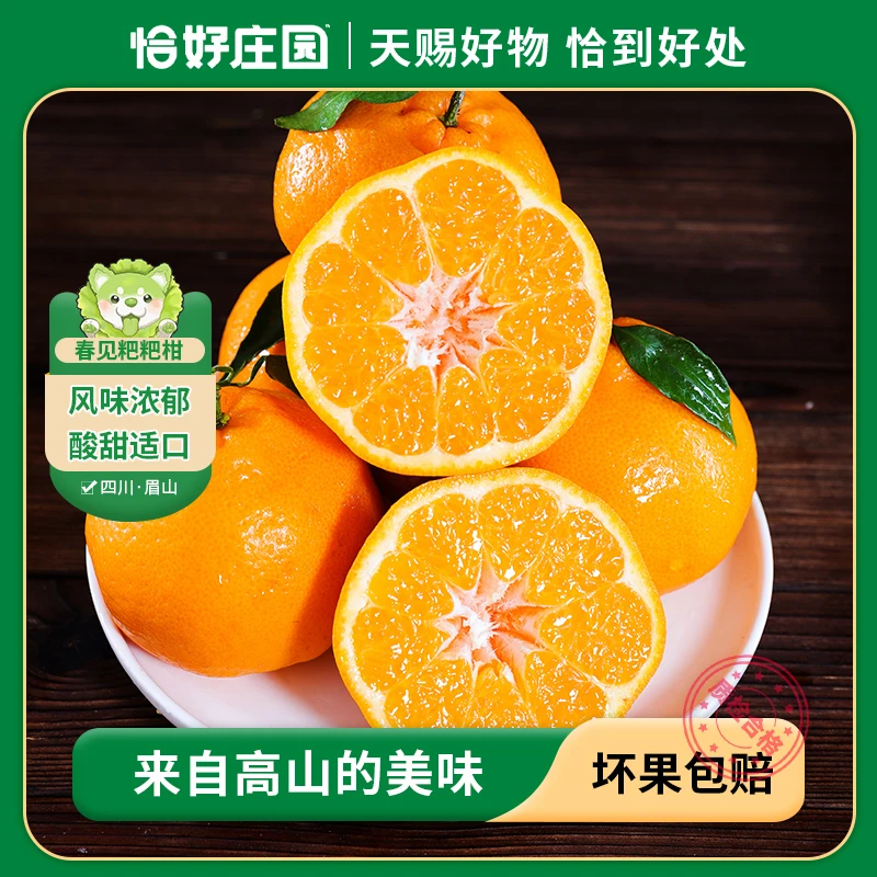 【恰好庄园】四川春见耙耙柑新鲜水果柑橘桔子整箱包邮