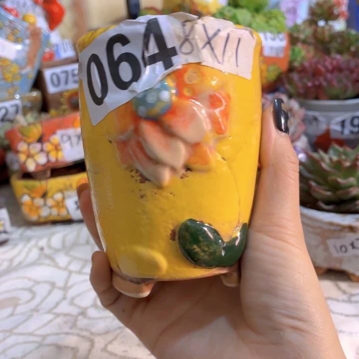 多肉花盆满15包邮