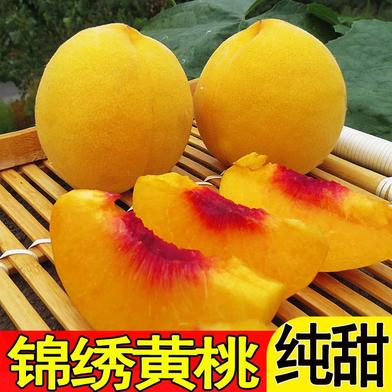 正宗蒙阴红心锦绣黄桃子新鲜黄金蜜毛桃山东桃子应季现摘原产地