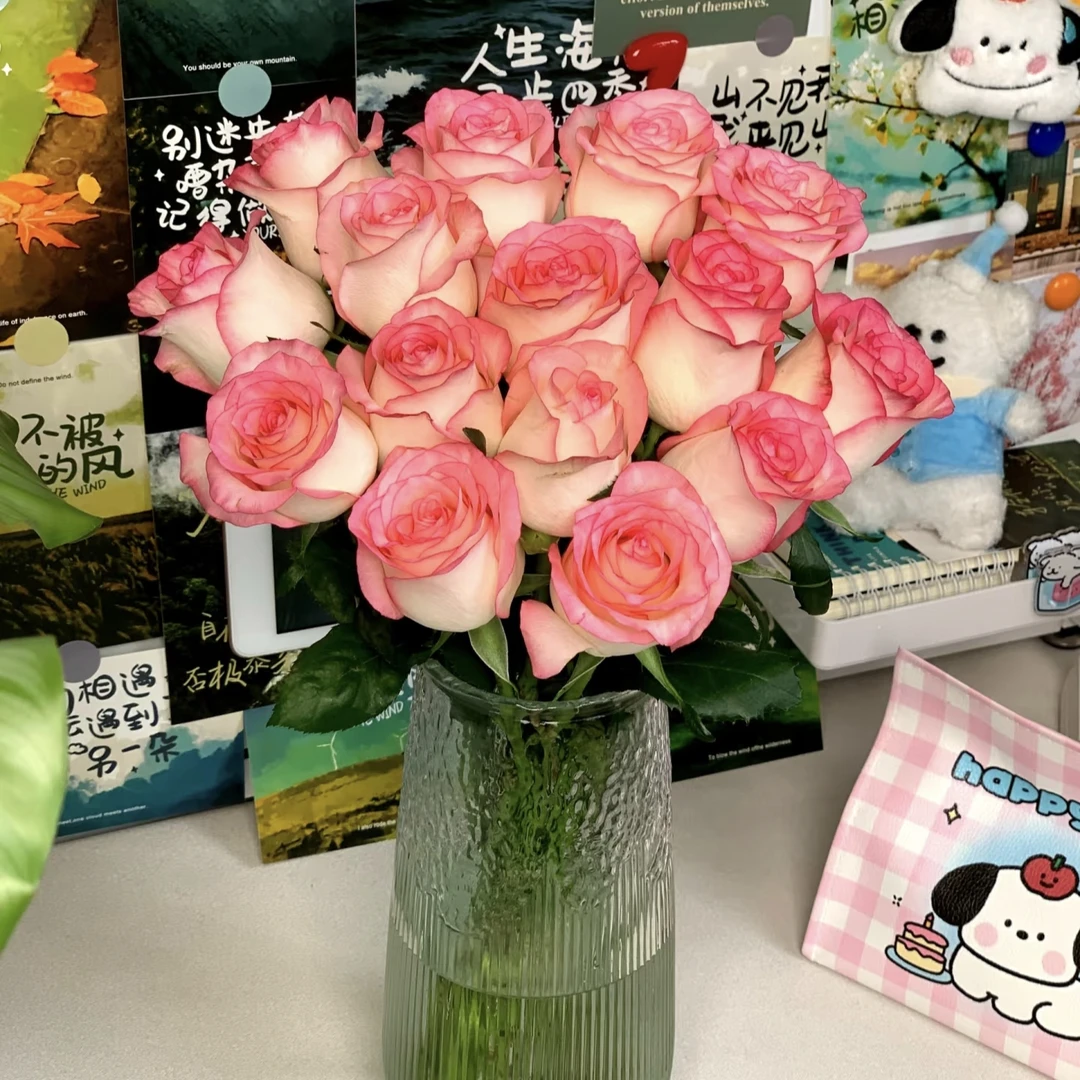 【艾莎玫瑰】花当季鲜花 艾莎公主 收到需醒花 云南基地鲜花直发