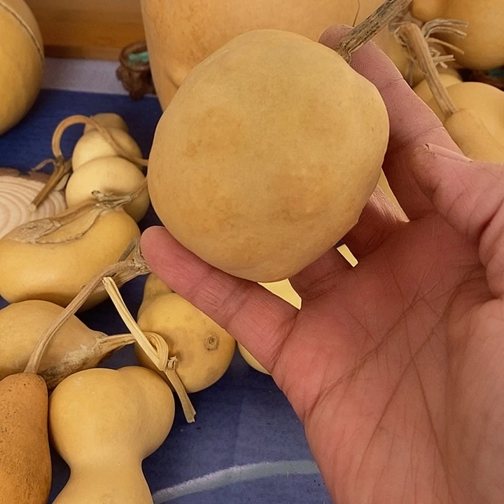 酒***子草里金手串葫芦手把