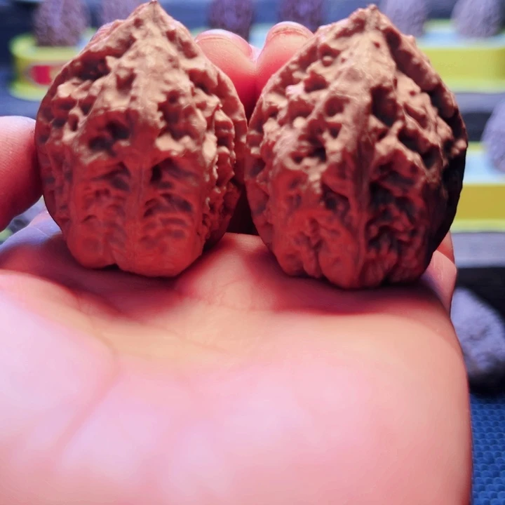 核桃14号车放漏漏咯了