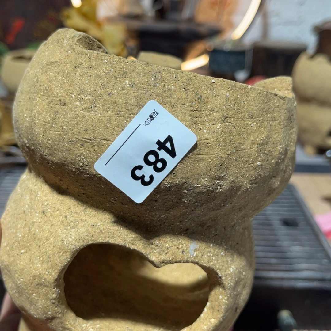 蔷*木村信弘柴烧保平