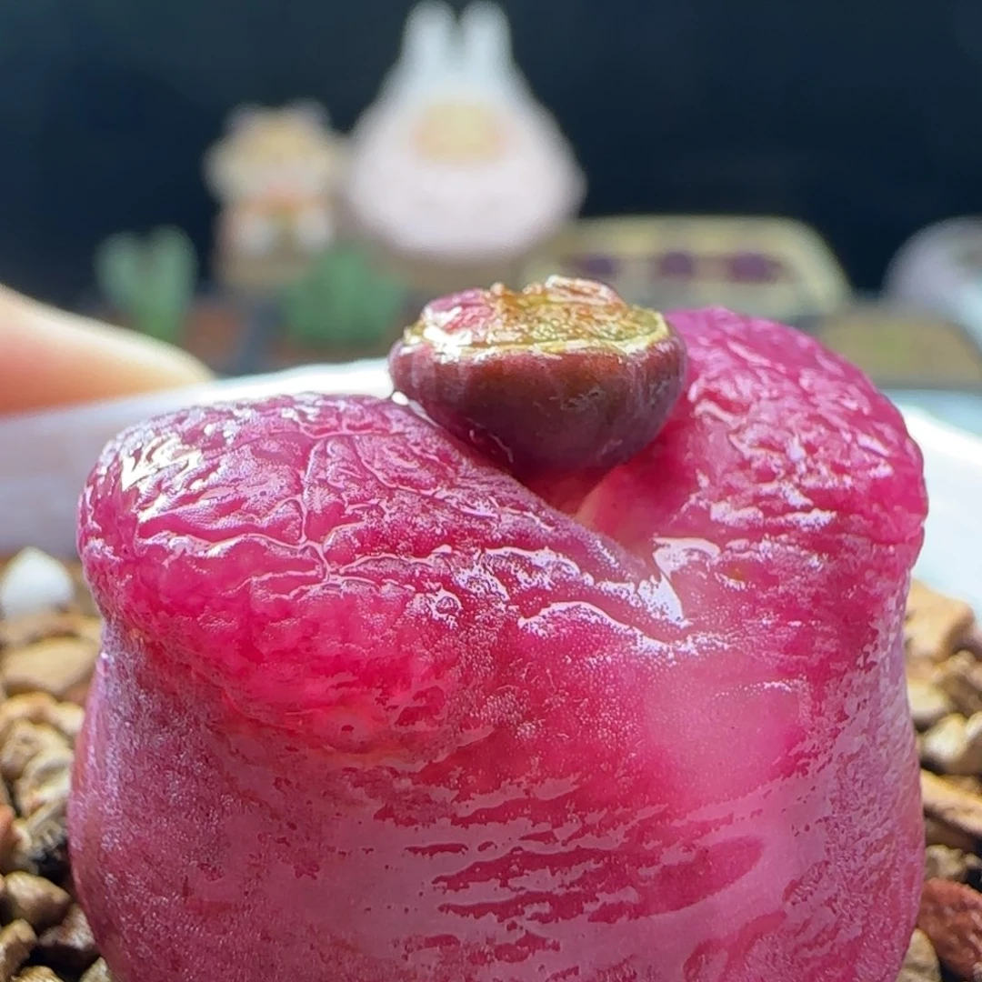 2.8.25/尺寸2.5 水蜜桃