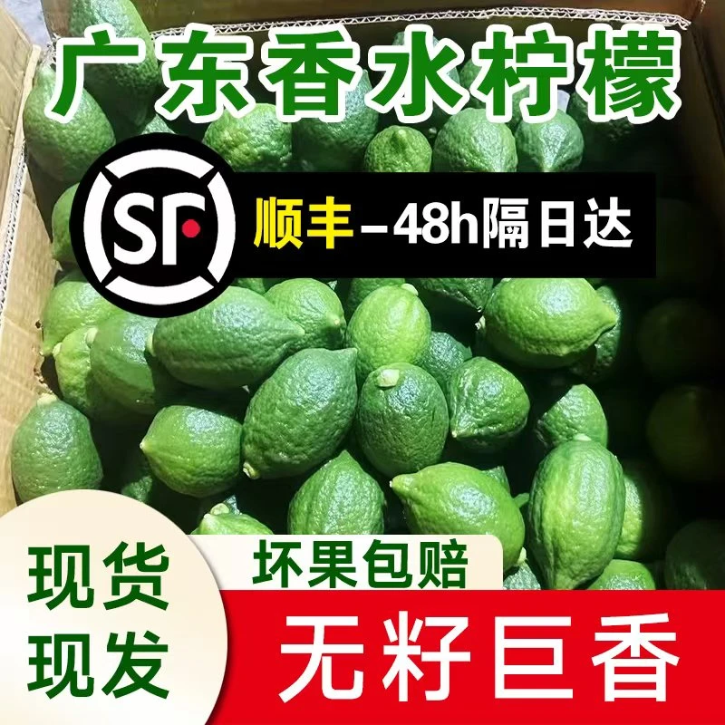 顺丰包邮鲜果青皮广东香水大果无籽四季柠檬茶饮摊奶茶店专用大果