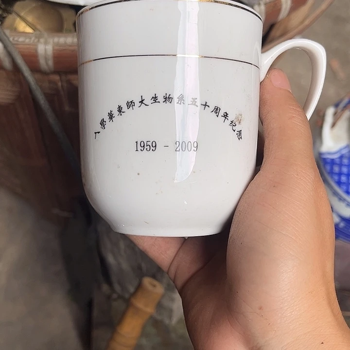 核桃木/黑胡桃（胡桃木）安*